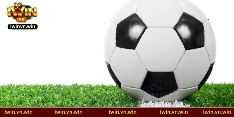 Review đôi nét về cá cược bóng đá